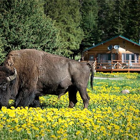 Silver Gate Lodging Cooke City Zewnętrze zdjęcie