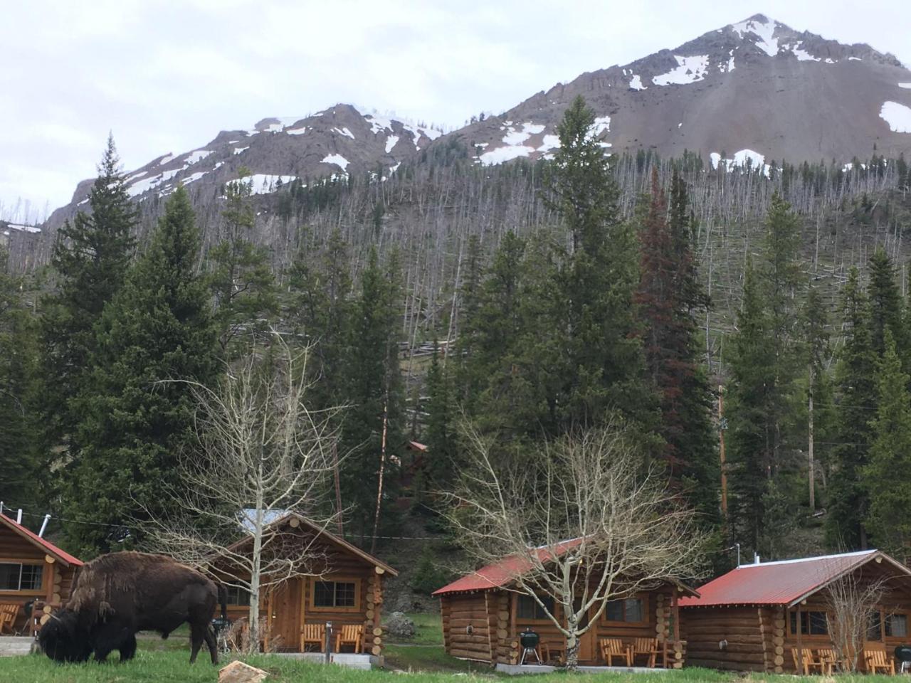 Silver Gate Lodging Cooke City Zewnętrze zdjęcie